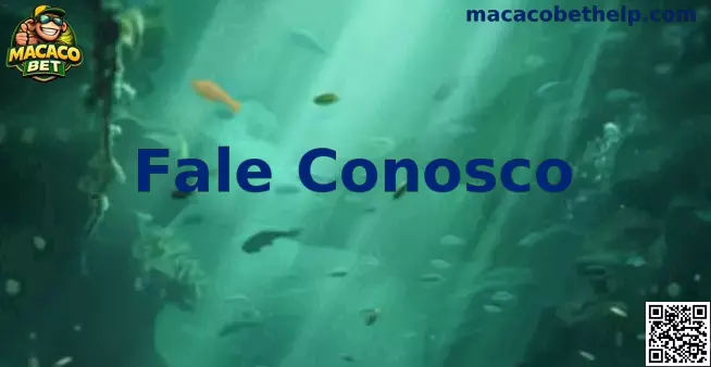 Central de contato Macaco Bet