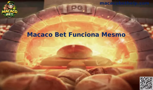 Macaco Bet Funciona Mesmo e análise da plataforma
